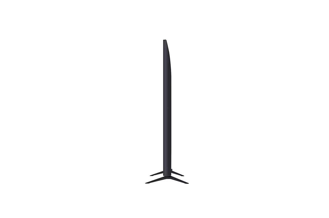LG TV75 NANO80T6A 75 inch NANO